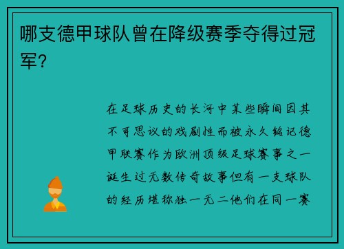 哪支德甲球队曾在降级赛季夺得过冠军？